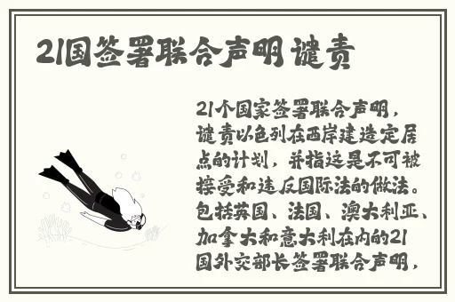 久久精品国产小宝寻花
